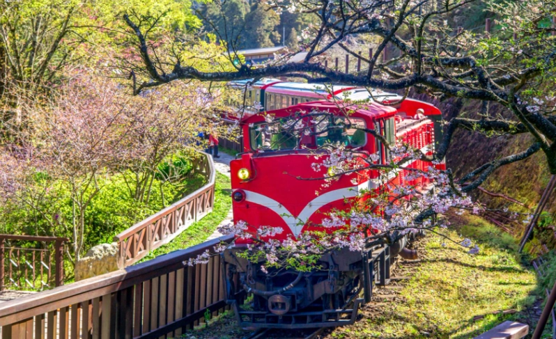 嘉義兩天一夜行程