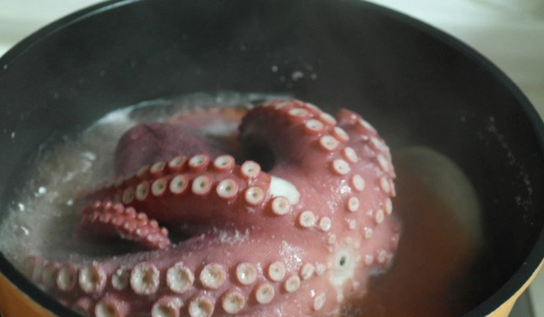 章魚煮軟方法