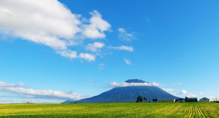 二世谷夏天攻略