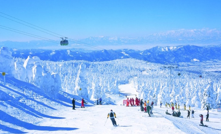 日本滑雪場比較