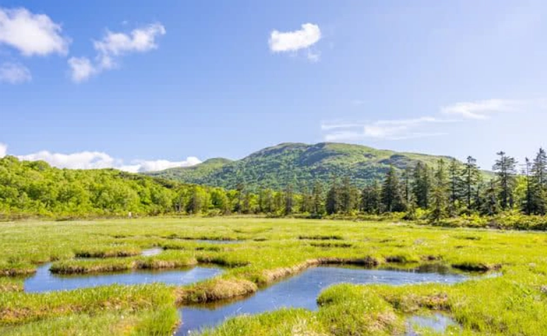 二世谷夏天活動