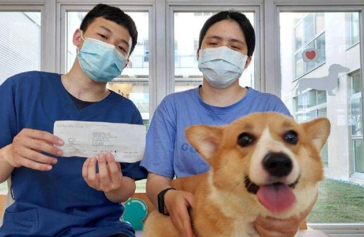 寵物登記證遺失補辦