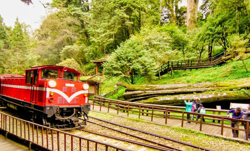 嘉義好玩的地方