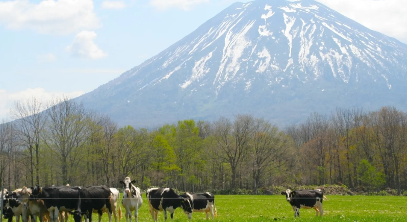 二世谷夏季旅遊