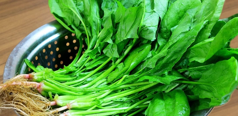 菠菜料理