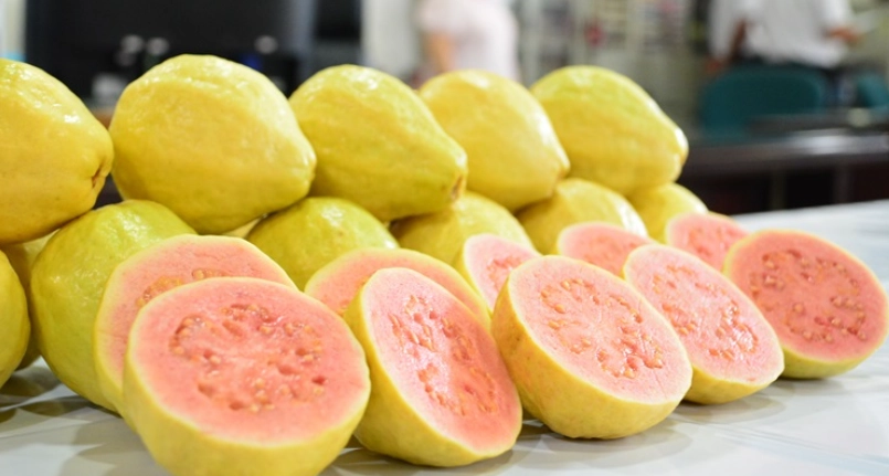 紅心芭樂籽營養