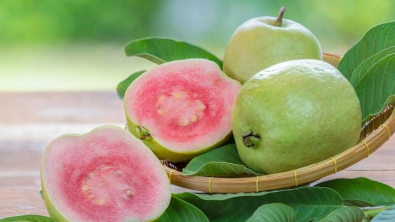 紅心芭樂籽食用方法