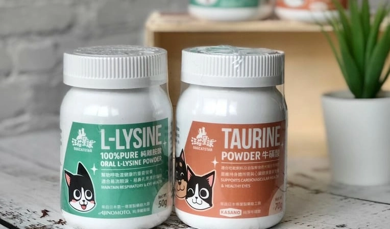 貓牛磺酸補充