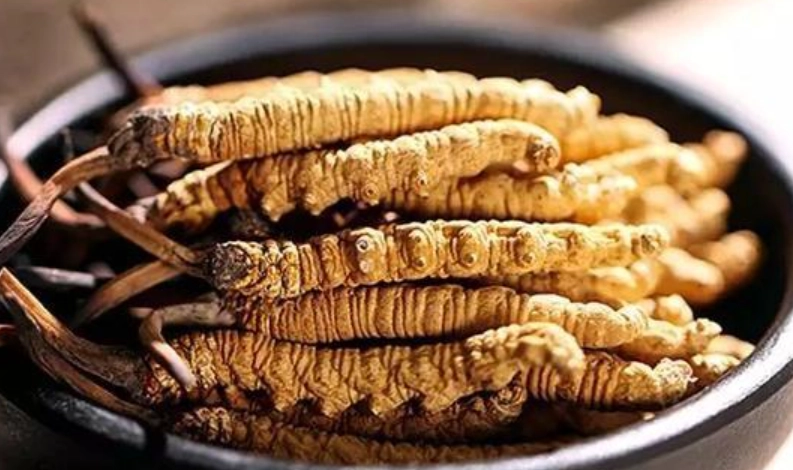 蟲草食用方法