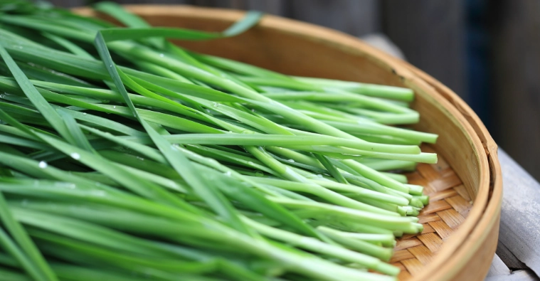 韭菜吃多副作用