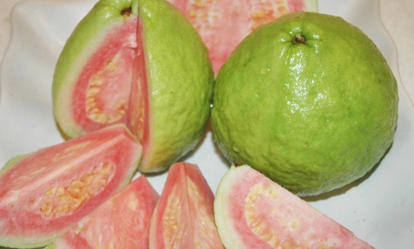 紅心芭樂籽食用方法