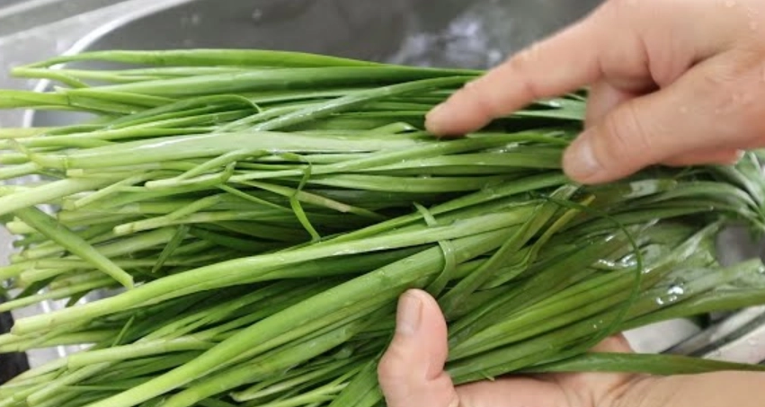韭菜健康飲食