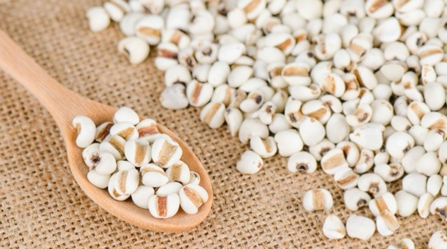 薏米蓮子百合好處