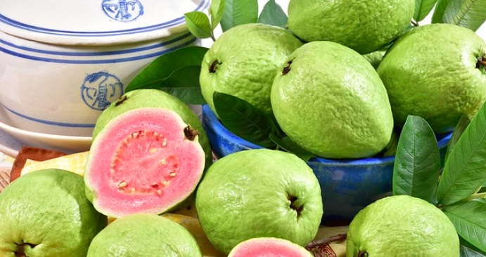 紅心芭樂卡路里