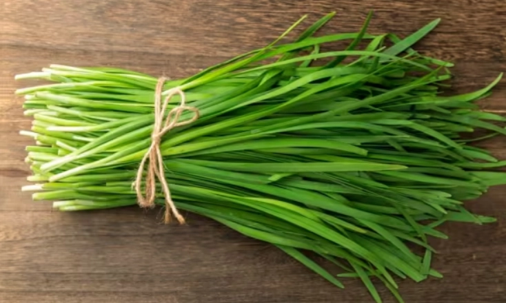 韭菜吃多副作用