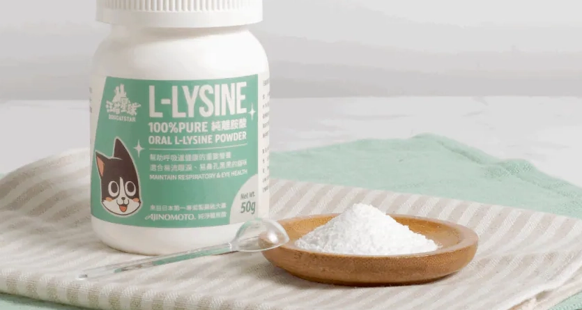 貓狗離胺酸補充