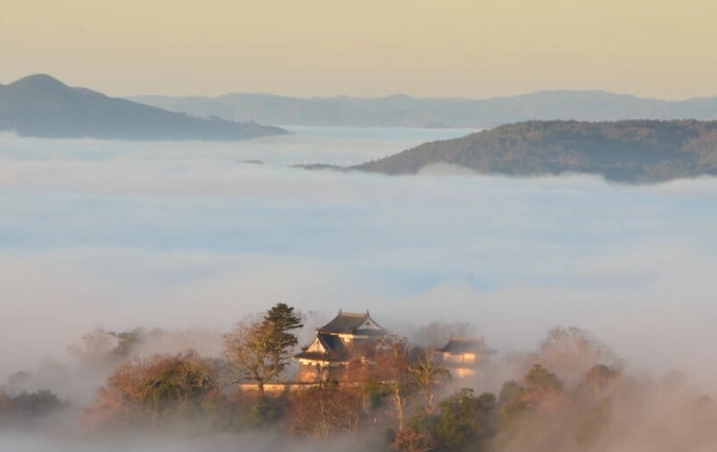 備中松山城旅遊