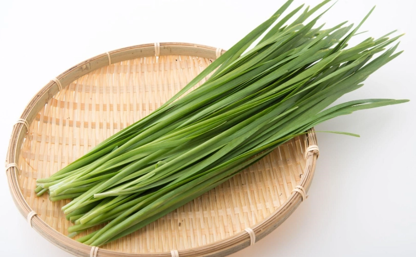 韭菜營養吸收