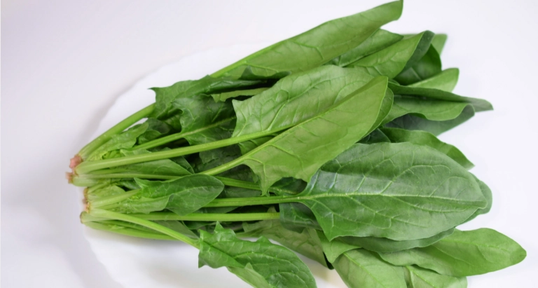 菠菜健康風險