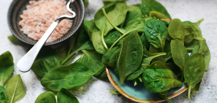 菠菜魚飲食禁忌