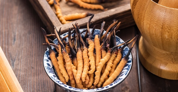 蟲草最佳服用時間