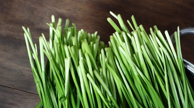 韭菜營養價值