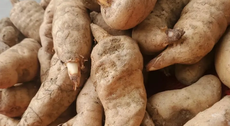 天麻泡水喝禁忌