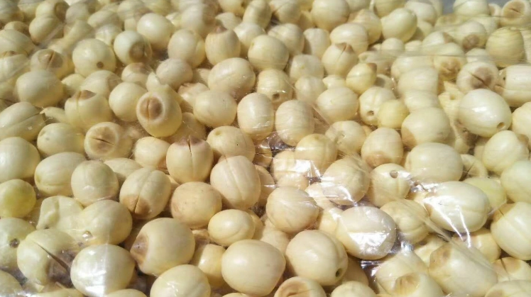 白蓮子食用注意