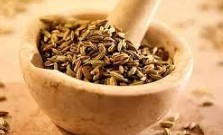 小茴香副作用