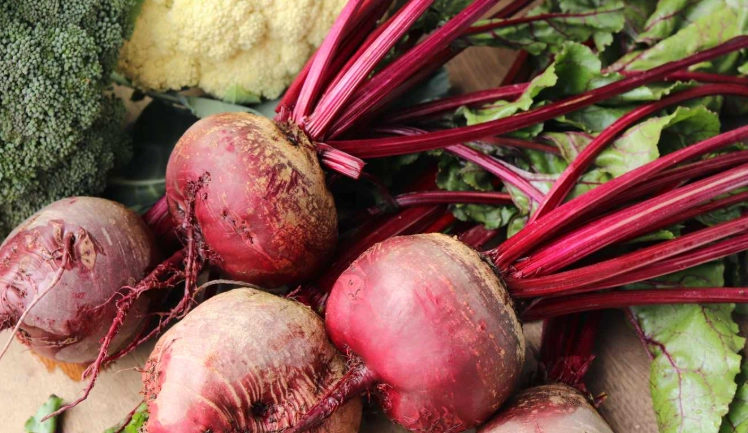 甜菜根營養