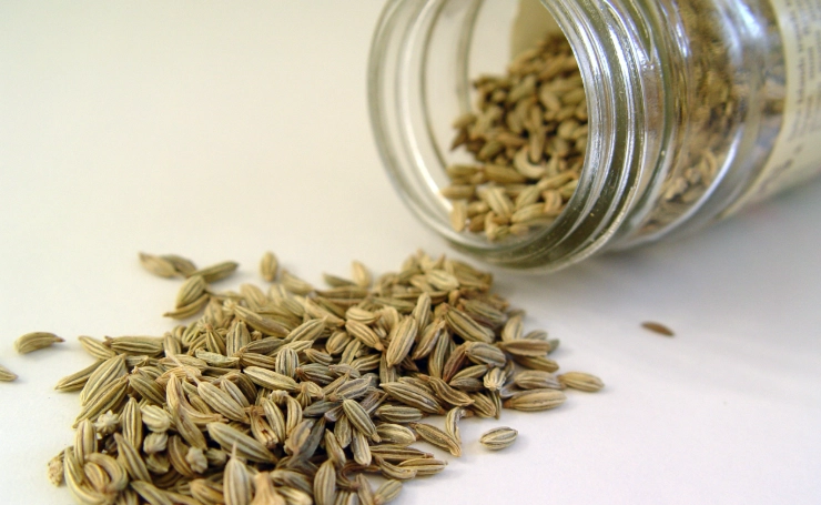 小茴香副作用