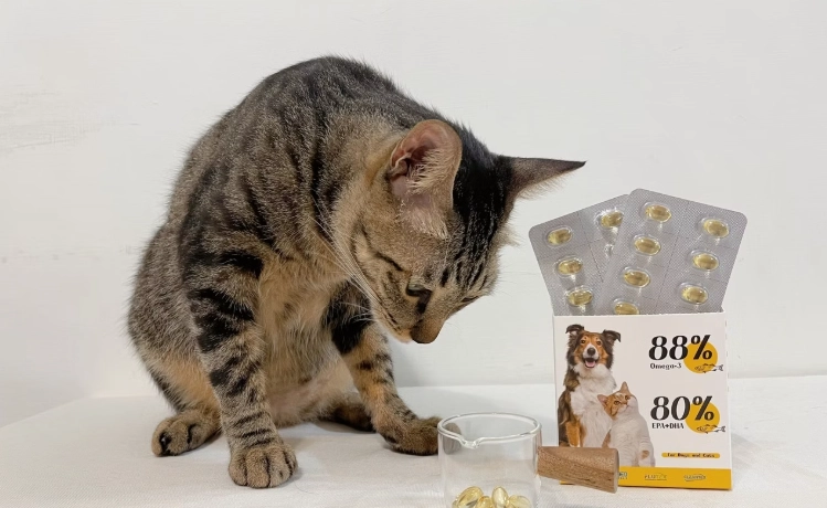 貓咪魚油推薦