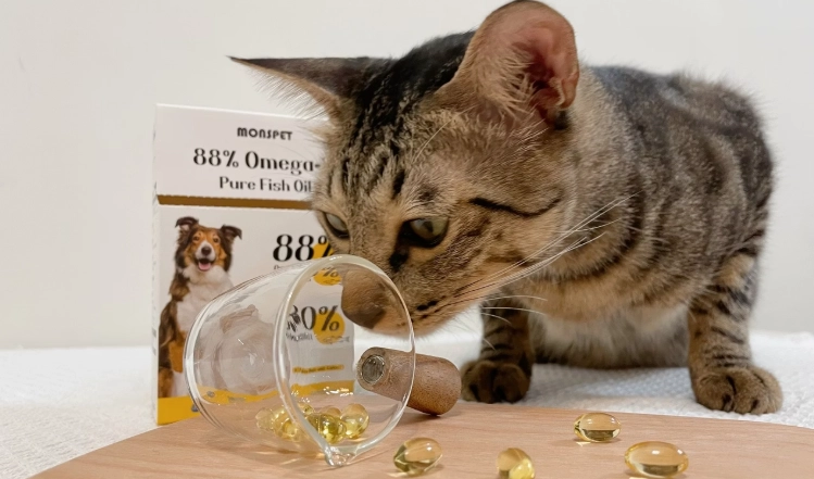 魚油幫助貓便秘