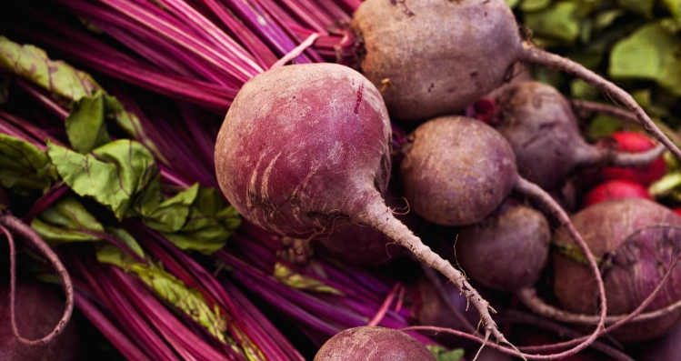 甜菜根營養