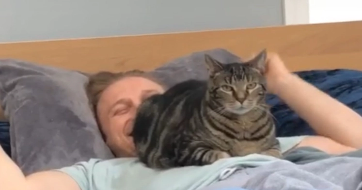 寵物貓睡覺行為