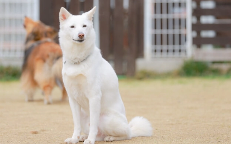 結紮後遺症照護