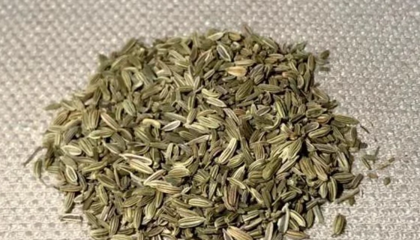 小茴香使用注意事項