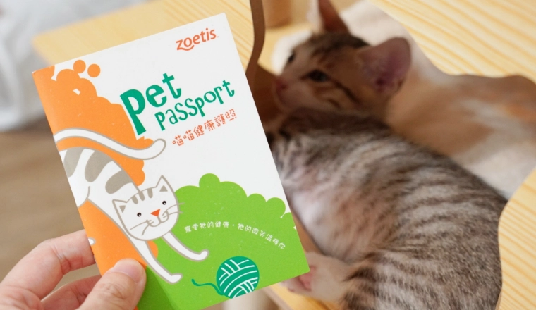 貓咪三合一疫苗費用