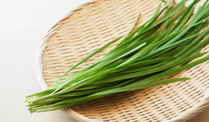 女生吃韭菜好處