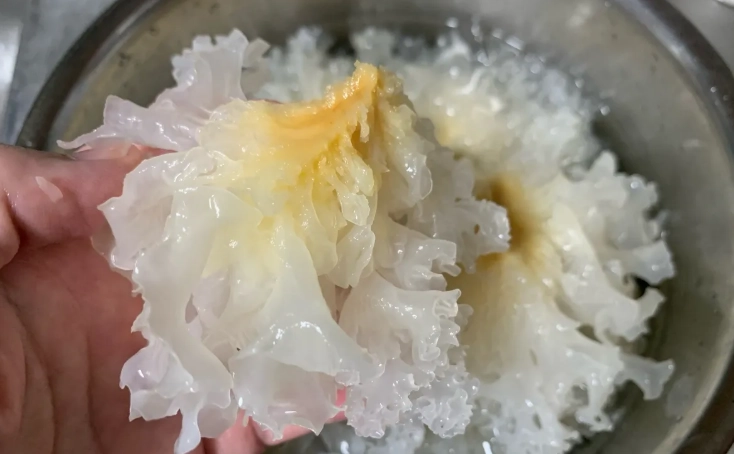 白木耳湯做法