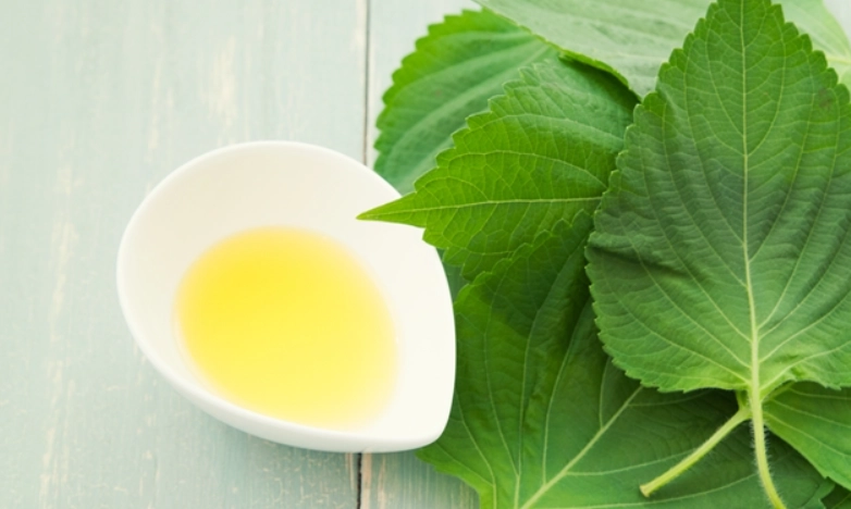 紫蘇油不良反應