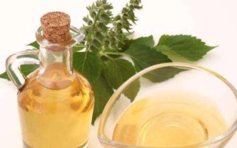 紫蘇油飲用時間