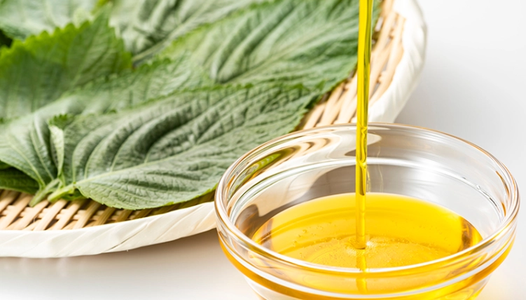 紫蘇油安全使用