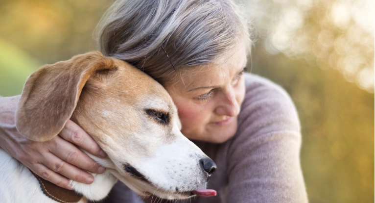 狗狗去世後觸摸