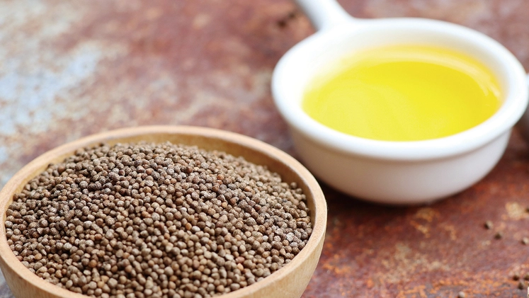 紫蘇油不良反應