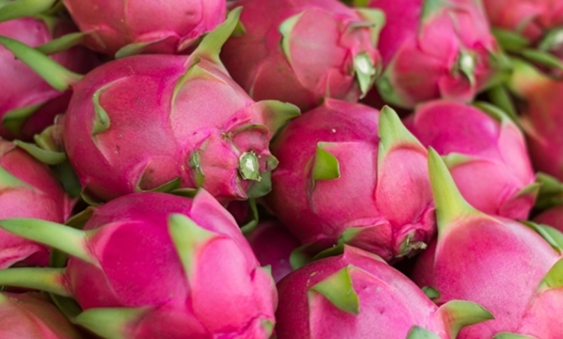 火龍果每日攝取量