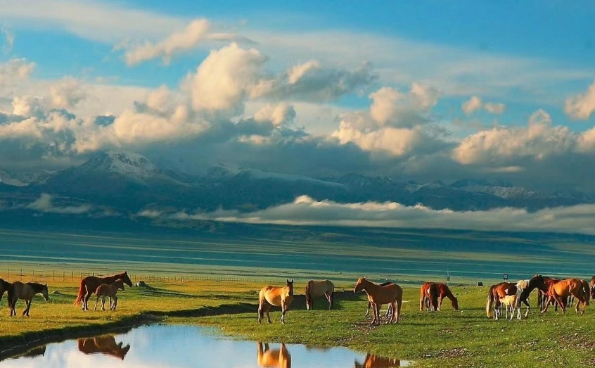 內蒙古草原旅遊