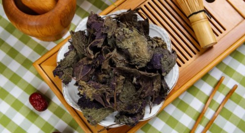 乾紫蘇葉用法