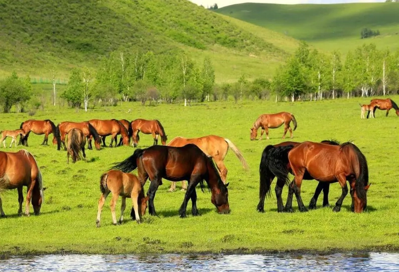 內蒙古旅遊季節