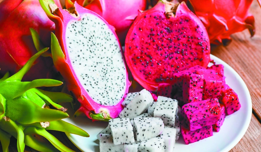 火龍果食用時間